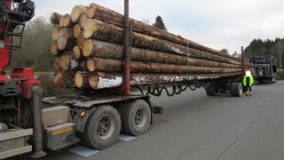 Die Polize hat einen überladenen Holztransporter kontrolliert