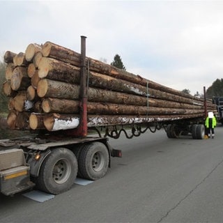 Die Polize hat einen überladenen Holztransporter kontrolliert