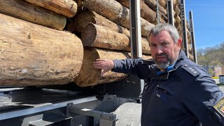 Marco Reis von der Schwerlastkontrollgruppe der Polizei Trier überprüft einen Kurzholztransporter, der Fichtenholz geladen hat.