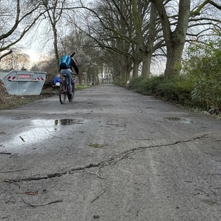 Risse in der Fahrbahn des Moselradwegs in Trier