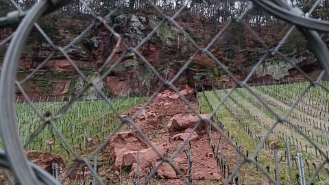 Brocken vom "Roten Felsen" sind durch einen Weinberg der Lage "Trierer Augenscheiner" gerollt. 