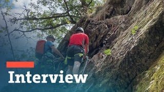 SWR Reporter Maximilian Storr testet den Klettersteig in Manderscheid