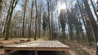 Der Verein Naturpark Nordeifel hat diese und zwei weitere Holzplattformen in der rheinland-pfälzischen Eifel eigens für das Trekking in den Wald bauen lassen.