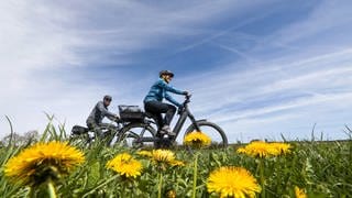 Ein Ehepaar radelt an blühendem Löwenzahn vorbei.