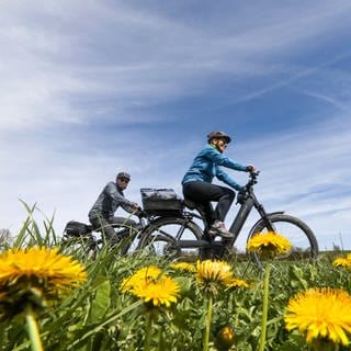 Ein Ehepaar radelt an blühendem Löwenzahn vorbei.