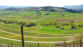 In Osann-Monzel, einem Ort zwischen Mosel und Lieser, gibt es nun für Privatleute eine Prämie, wenn sie Gästezimmer oder Ferienhäuser einrichten. Denn für die Touristen, die in den Ort kommen, gibt es zu wenige Plätze.