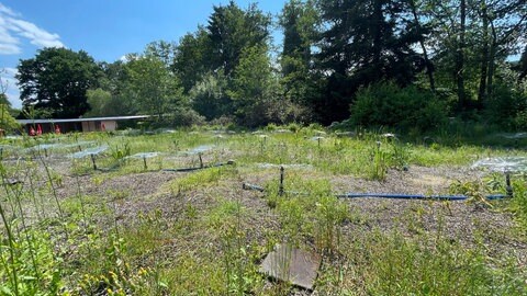 Das Naturbad Staden in Idar-Oberstein hat eröffnet