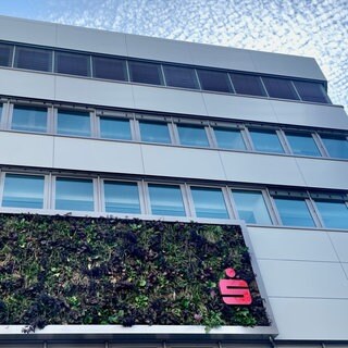 Begrünte Fassade der Sparkasse in Trier. Die Bürgerinitiative wirft dem Geldinstitut Greenwashing vor. 