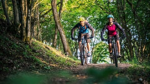 Zwei Mountainbiker im Wald: Mit Rädern und Equipment für Radfahrer und Biker ist Internetstores einst groß geworden. 