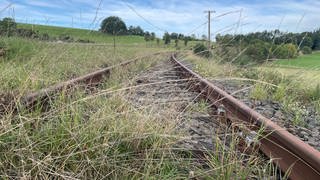 Jens Wießner kämpft seit Jahren für die Reaktivierung der Eifelquerbahn. Er lebt selbst in Nordrhein-Westfalen, verbringt aber seine Ferien in Kötterichen bei Ulmen. 