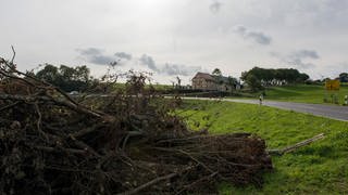 Der Tornado hat etliche Bäume vernichtet. Ganze Baumhaufen liegen auf den Wiesen in Nusbaum.