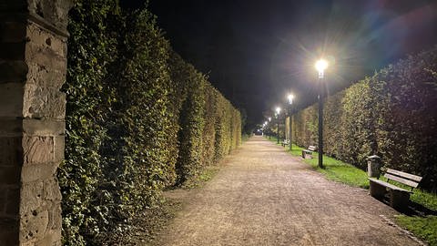 Die Stadt Trier will den Palastgarten mit einem neuen Beleuchtungskonzept sicherer machen.