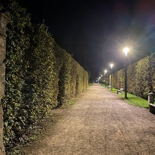 Die Stadt Trier will den Palastgarten mit einem neuen Beleuchtungskonzept sicherer machen.