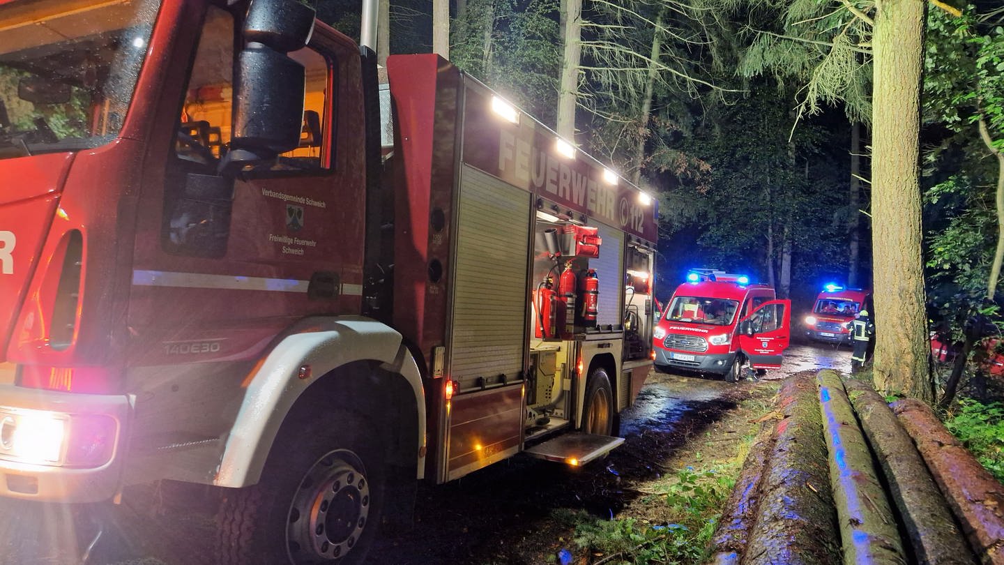 Die Feuerwehr hat einen Mann von einer Tanne gerettet.