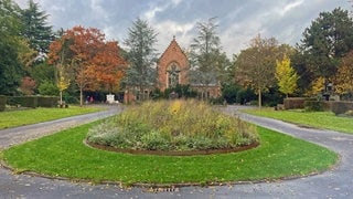 Eine naturnahe Umgestaltung der Grünflächen auf dem Hauptfriedhof Trier soll für mehr Artenvielfalt sorgen. 