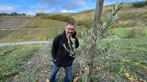 Biowinzer Jan Matthias Klein aus Kröv