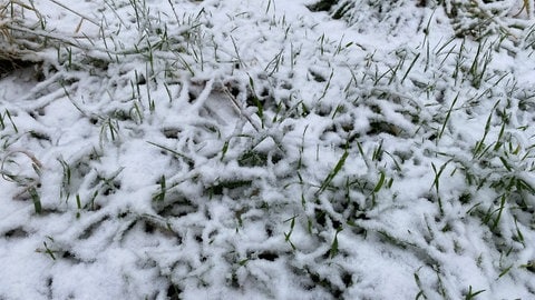 Schnee in Gerolstein