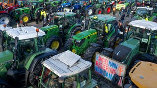 Hunderte Landwirte aus der gesamten Region haben für Montag eine Demonstration in Trier angemeldet. Es ist mit erheblichen Behinderungen im Berufsverkehr zu rechnen. 