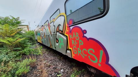 Dieses großflächige Graffiti fand die Bundespolizei Trier an einem Zug im Norden Triers.