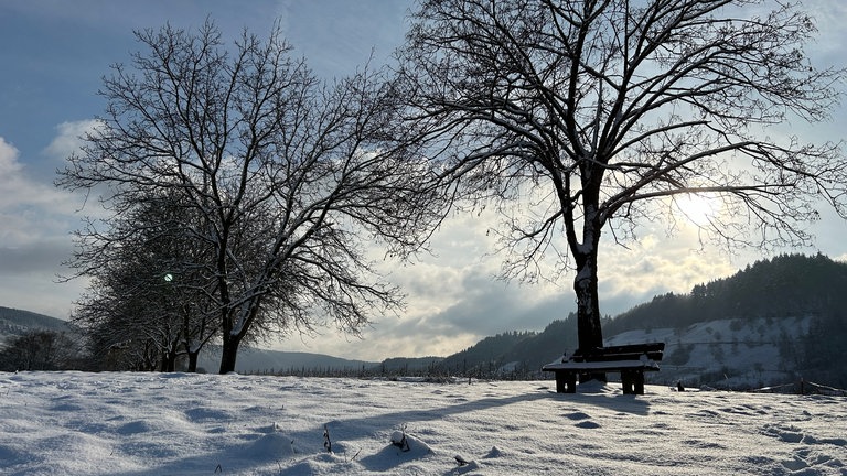 Die Sonne lädt in Ensch an der Mosel zu einem Spaziergang ein.