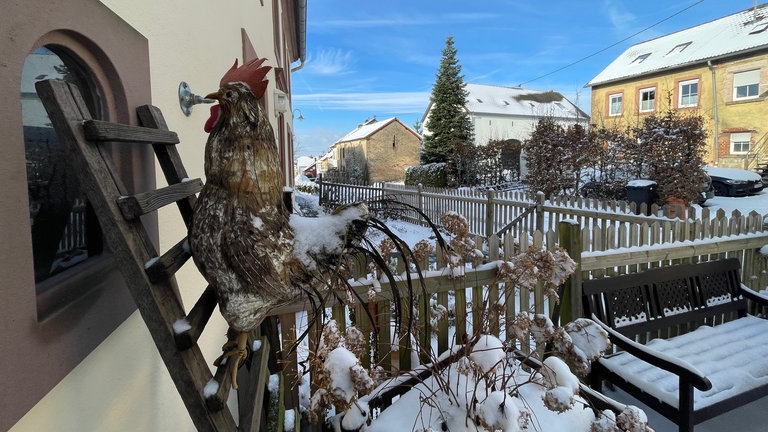 Der künstliche Wetterhahn schient den Winter zu genießen in Zemmer-Roth.