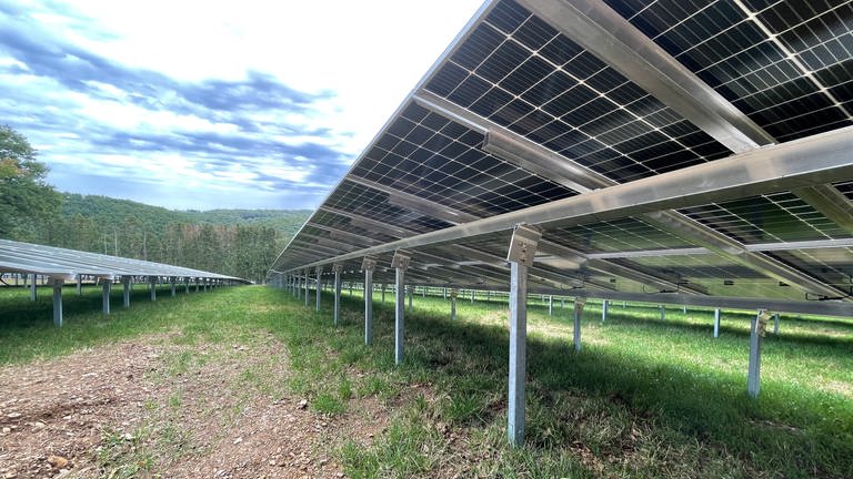 Größter Solarpark von Rheinland-Pfalz entsteht in der Südeifel