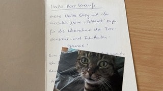 Dankesbrief für Caritasverband Westeifel mit Katzenfoto