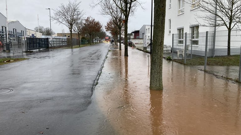 Im Gewerbegebiet Wittlich Wengerohr sind die Betriebe die regelmäßigen Überschwemmungen leid. 