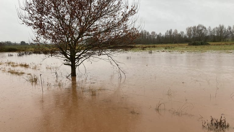 Die Felder neben dem Bach haben bei der letzten Überschwemmung nicht ausgereicht um die Überflutung zu vermeiden.