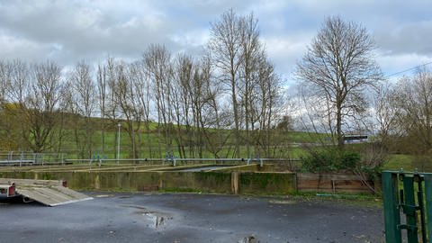 Die Kläranlage in Dudeldorf ist jetzt doch als Schuldige für verschmutzte Bäche im Bitburger Land ausgemacht worden. Zumindest indirekt.