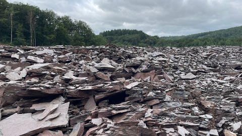 Die frühere Mülldeponie in Saarburg gleicht heute einem Steinbruch. Hier war tonnenweise Abfall gelagert. 