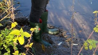 Matthias Heck vom NABU Südeifel steht mit seinen Stiefeln im Schlamm am Rand des Auelbaches.