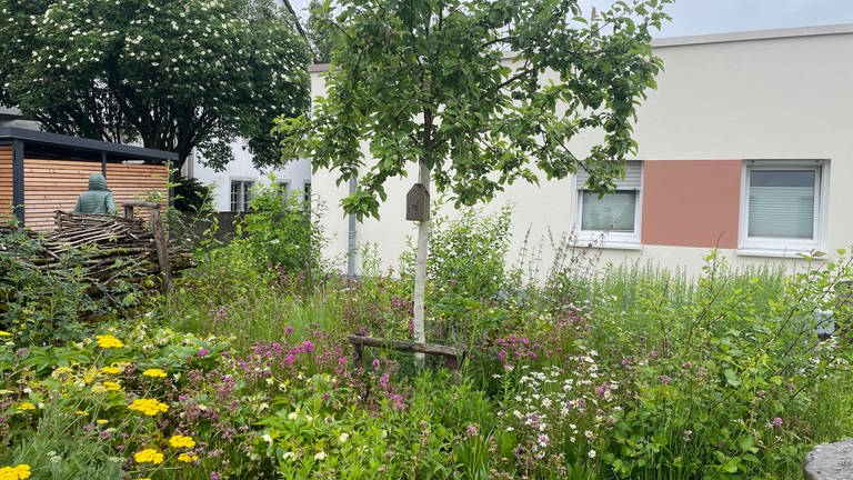 Der Garten in der Trierer Unterkunft für obdachlose Frauen 