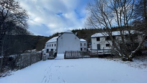 In der historischen Kalborner Mühle hat die Umweltorganisation "Natur & Emwelt" eine Aufzuchtstation für Muscheln eingerichtet. Gefördert wird das Projekt aus Europäischen und luxemburgischen Mitteln. 