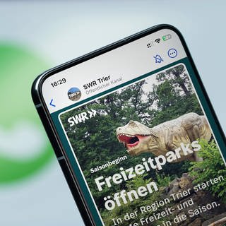 Bildmontage: Smartphone auf dem der WhatsApp-Kanal SWR Studio Trier geöffnet ist. Dort finden Sie regionale Nachrichten von der Mosel, aus der Eifel oder dem Hunsrück. 