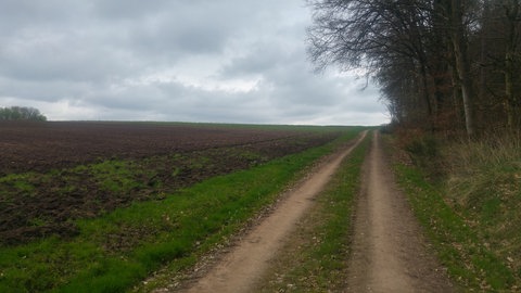 Südlich von Herforst gibt es nur Felder und Wälder. Zur Römerzeit war das Gelände aber ein Industriegebiet. 