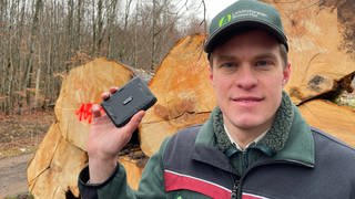 GPS-Tracker sollen im Hunsrück helfen Holzdiebstahl zu vermeiden