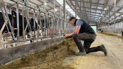 Bastian Faust, Landwirt aus dem Hunsrück braucht den Mais vor allem als Futter für seine Kühe und Rinder. Doch der Mais wächst wegen der Dürre und des Klimawandels immer schlechter.