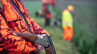 Immer mehr Niederländer kommen in die Eifel oder die Niederland jagen. Die Jagdtouristen können über spezielle Reiseanbieter solche Jagden buchen. Mittlerweile sind auch viel Jagdpachten in niederländischer Hand.