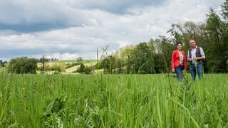 Familie Lichter auf einer ihrer ehemaligen Ackerflächen. Durch die spezielle Einsaat und der sorgsamen Pflege breiten sich immer mehr Tierarten aus.