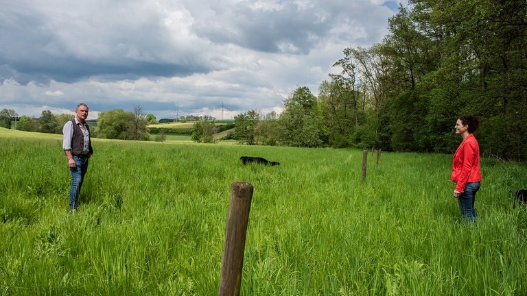 Die Zaunpfähle markieren auf dem ehemaligen Ackerland die Schnittbegrenzung. Während die Magerwiese einmal im Jahr gemäht wird, soll der abgegrenzte Bereich zum Bachlauf hin als Brut- und Nistfläche unberührt bleiben. 