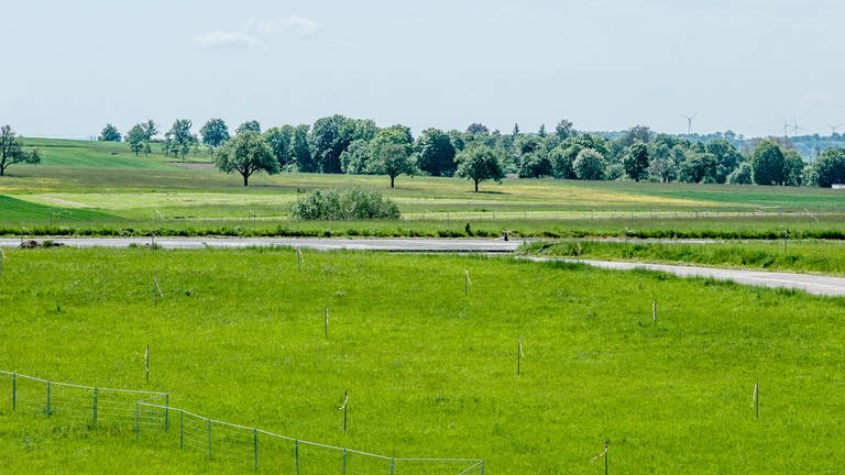 Für diese Magerwiesen wird die Ausgleichsfläche benötigt. Knapp 60 ha auf dem Flugplatz sollen durch die geplanten Maßnahmen versiegelt werden. 