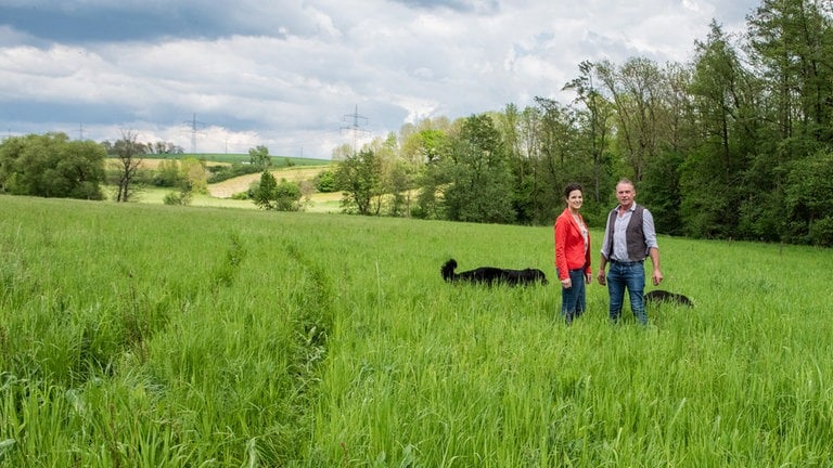 Die ehemalige Ackerfläche ist als Ausgleichsfläche für den Naturschutz in eine Magerwiese umgewandelt worden. So soll die Fläche bei Starkregen viel Wasser aufnehmen.  