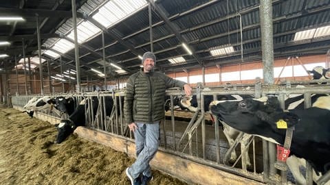 Hier kommt die Milch her: Christian Theisen kümmert sich um rund 60 Kühe auf seinem Hof. 