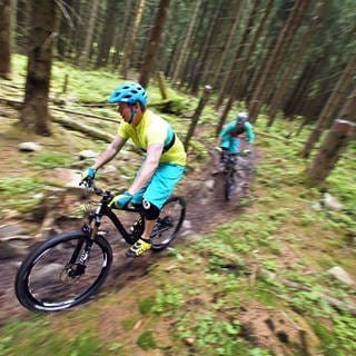 Mountainbiker fahren auf einem sogenannten Trail durch den Wald