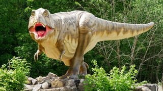 Aus dem Dinopark in Ernzen (Eifelkreis Bitburg-Prüm) soll in den nächsten Jahren ein Museum für Urzeitforschung werden. 