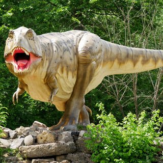 Aus dem Dinopark in Ernzen (Eifelkreis Bitburg-Prüm) soll in den nächsten Jahren ein Museum für Urzeitforschung werden. 