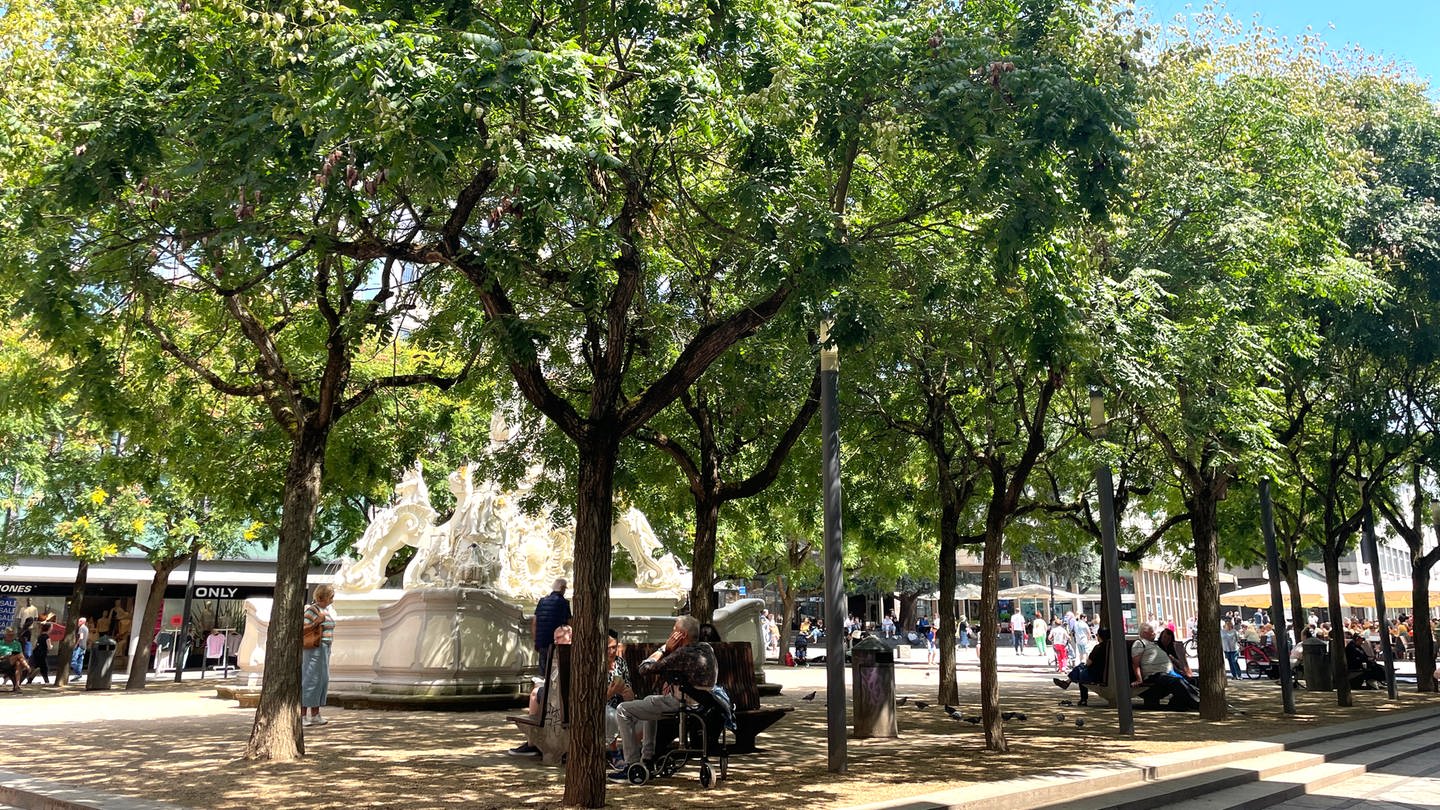 Menschen sitzen auf Bänken im Schatten unter den Bäumen am Trierer Kornmarkt.