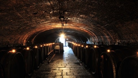 Wein will kalt gelagert werden. Und das ist auch der Grund, warum Winzer ab Mitte des 19. Jahrhunderts die damals wichtige Handelsstadt Traben-Trarbach an der Mosel unterkellern ließen. Bei 12 Grad können Besucher sich Freitag und Montag ab 17 Uhr durch diese Katakomben führen lassen. 