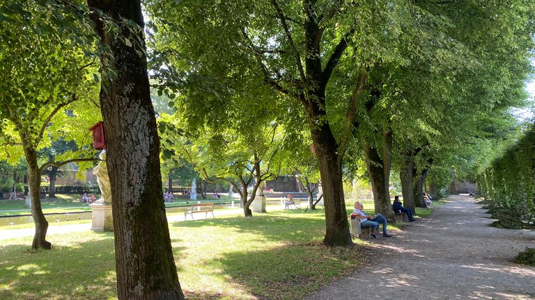30 Grad auch im Palastgarten in Trier: Immerhin ist es dort unter den Bäumen etwas kühler als in der Fußgängerzone, die weniger Grünflächen hat.